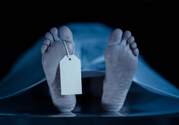 बैतडीमा भिरबाट लडेर तीनजनाको मृत्यु, खोजी जारी