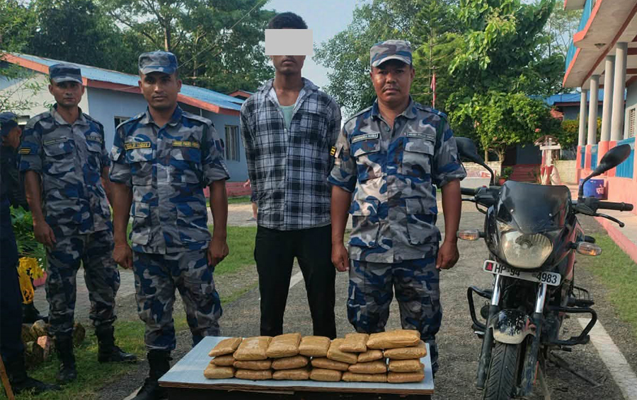 लागुऔषध