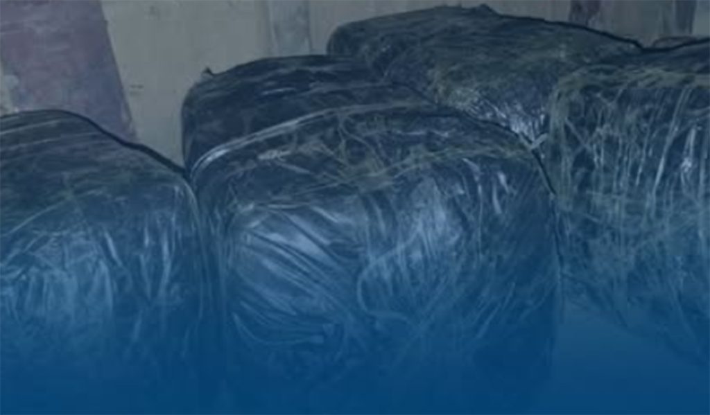 लागुऔषध