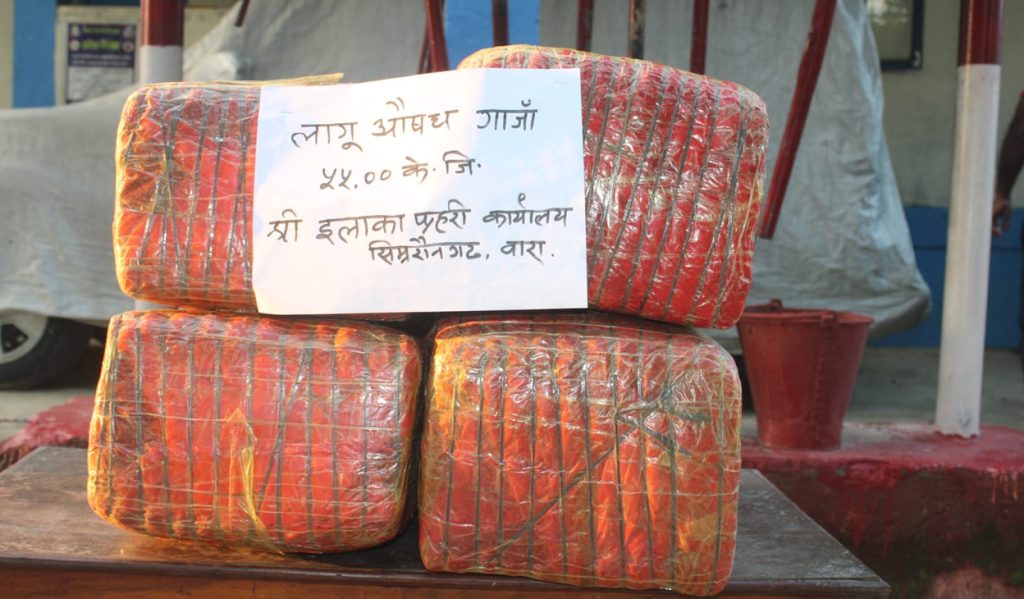 बाराको पचरौतामा ५५ किलो गाँजासहित ४५ वर्षीय यादव पक्राउ