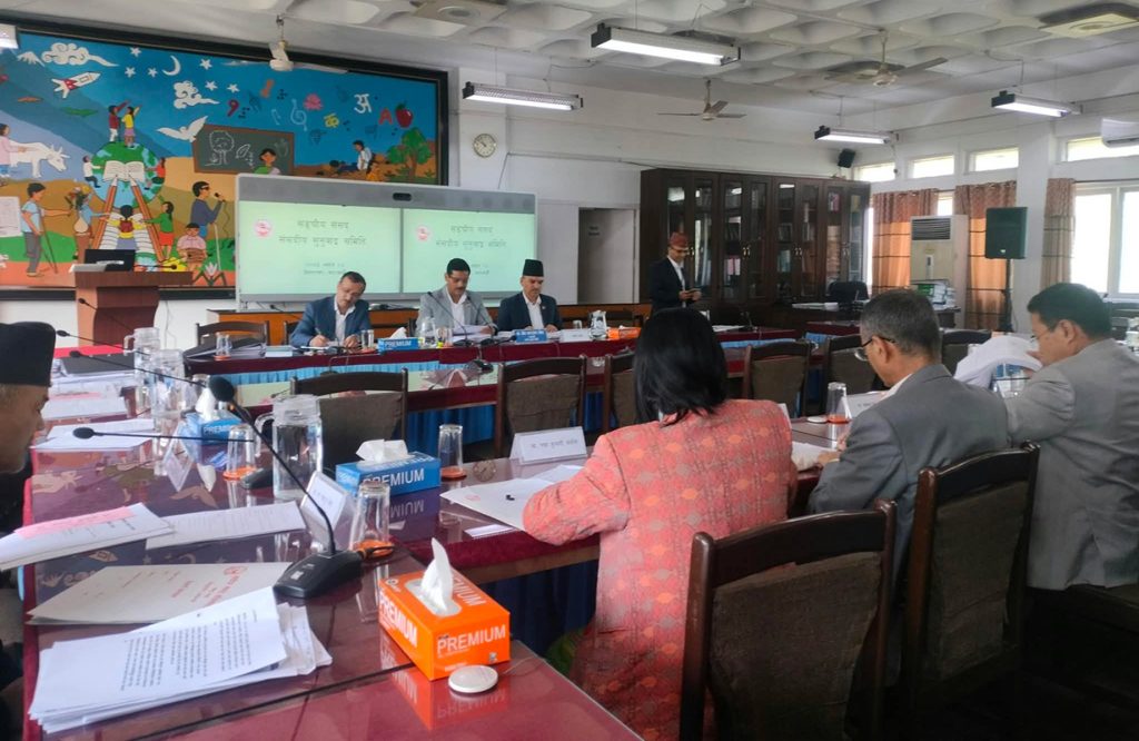 राजदूतको सुनुवाइमा सकेसम्म नेपाली भाषा प्रयोग गर्न सभापतिको रुलिङ
